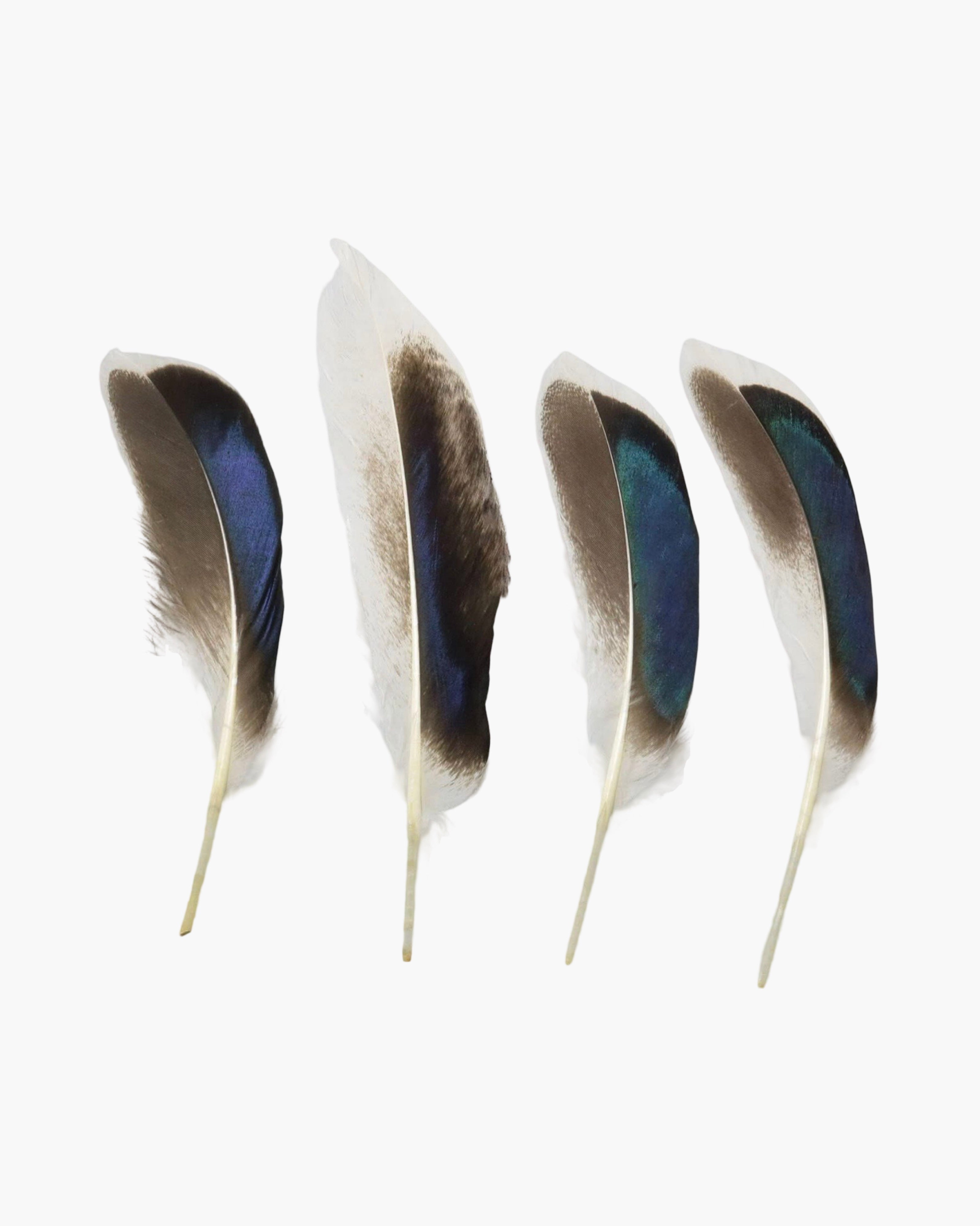 Large Feather Hat Accessory