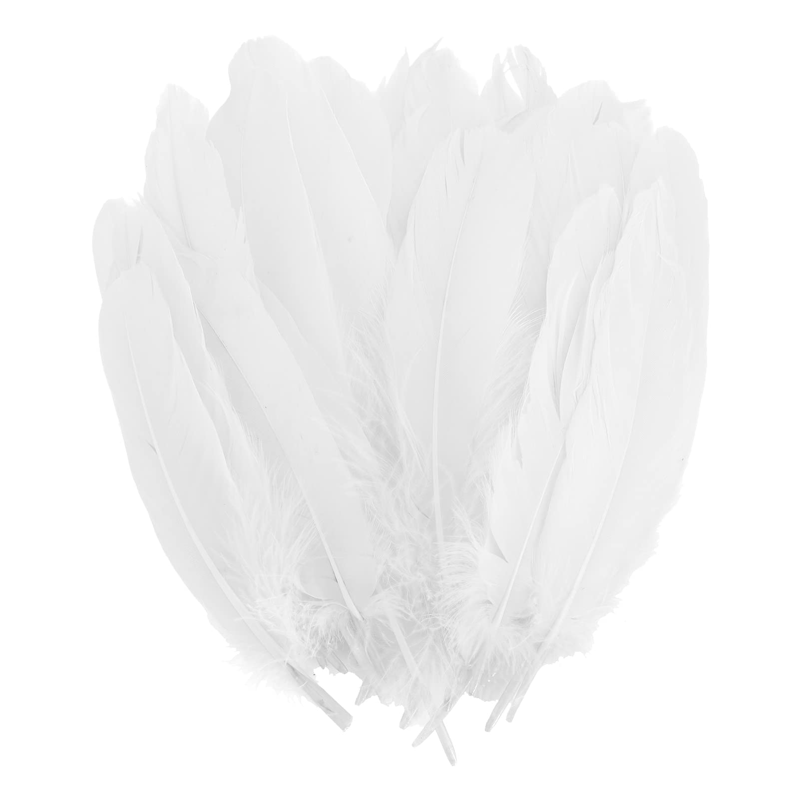 Large Feather Hat Accessory