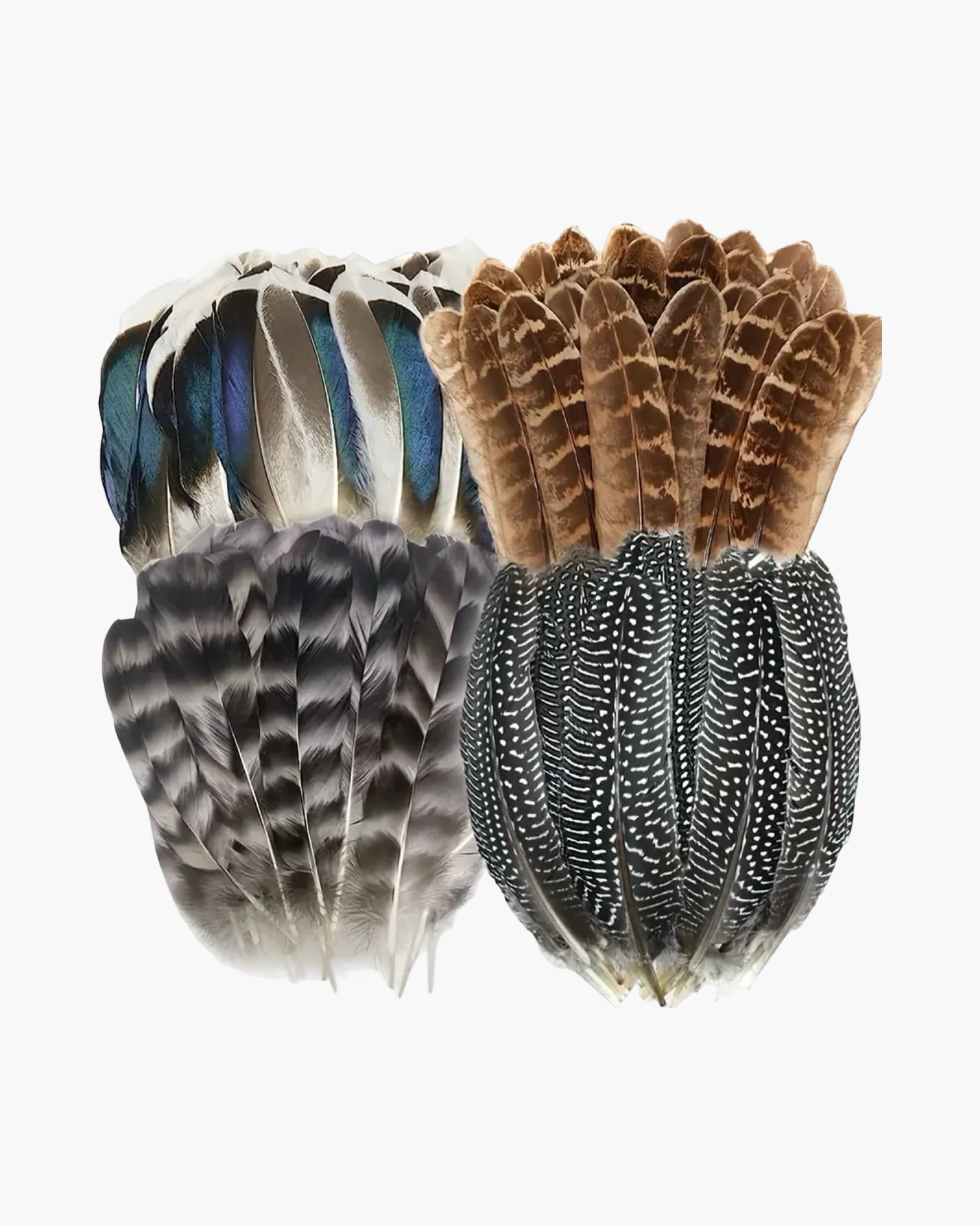 Large Feather Hat Accessory