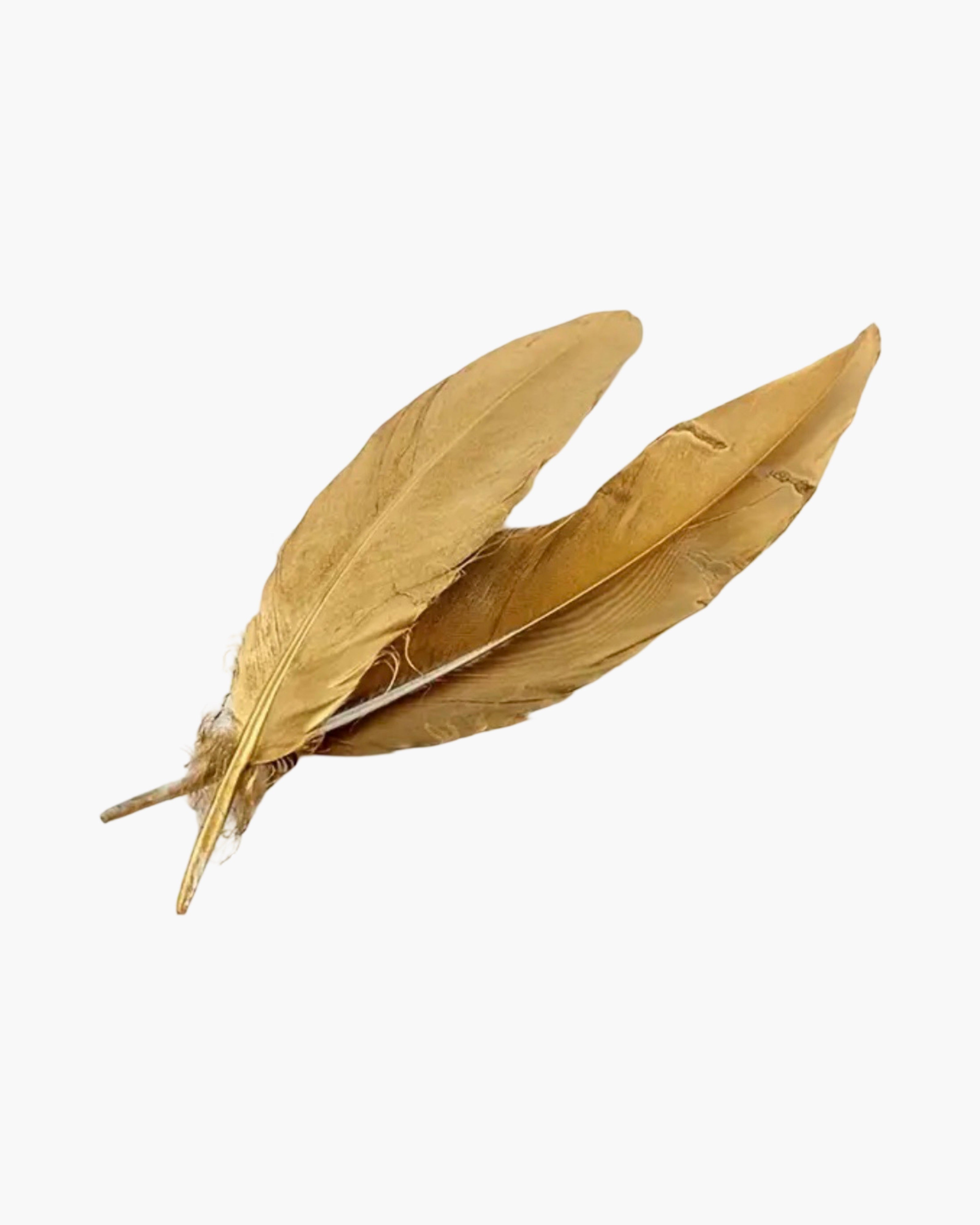 Large Feather Hat Accessory