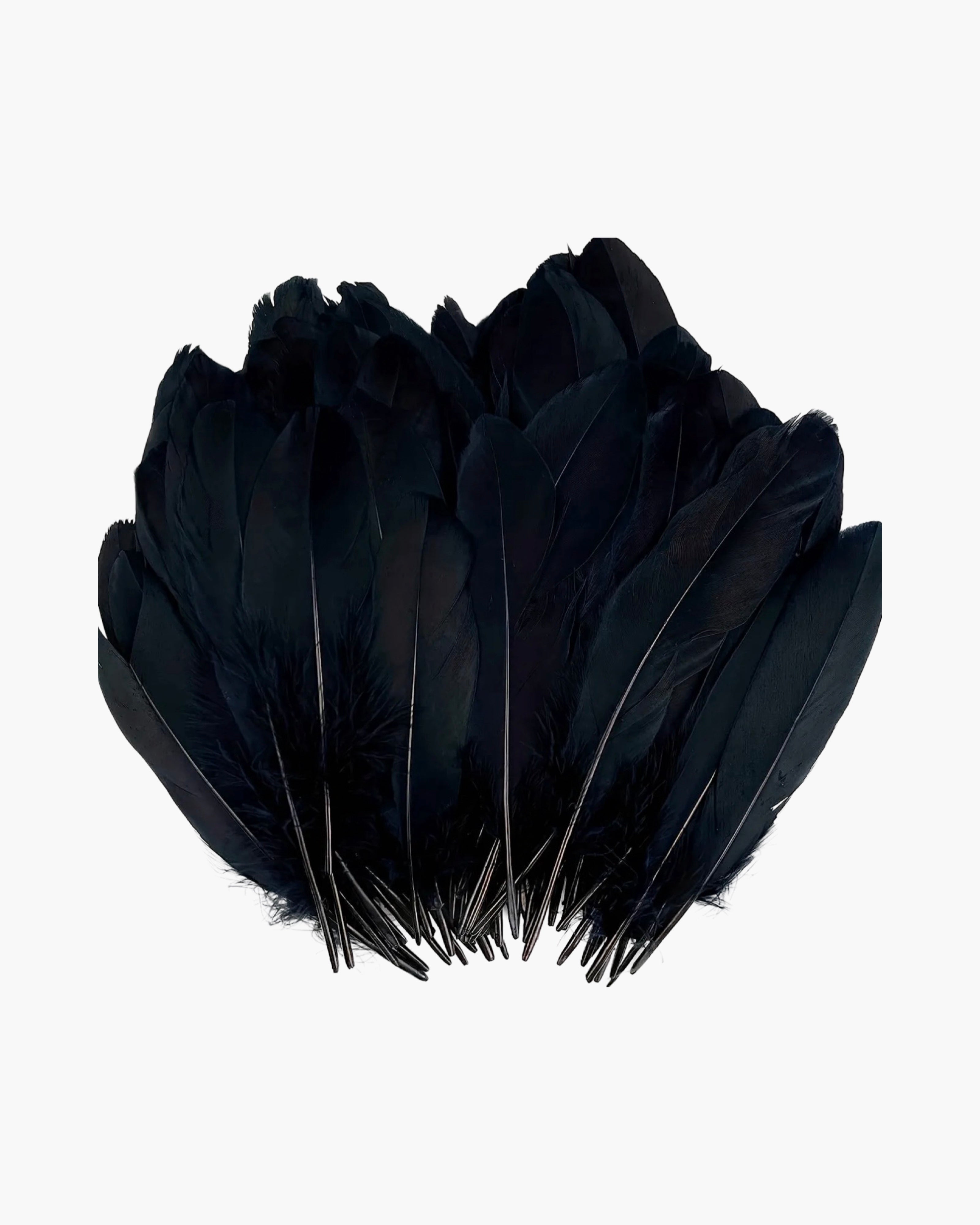 Large Feather Hat Accessory