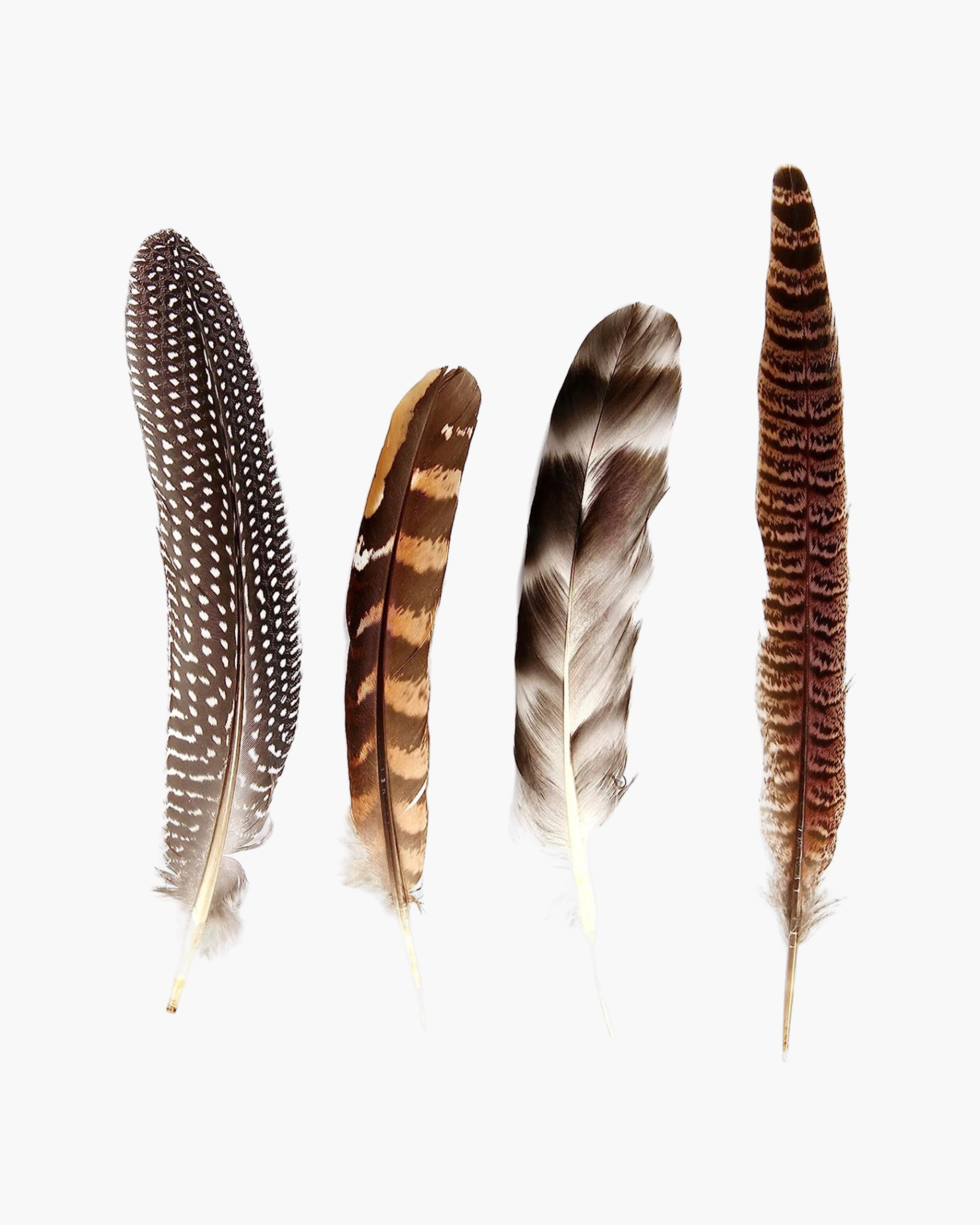 Feather Hat Accessory