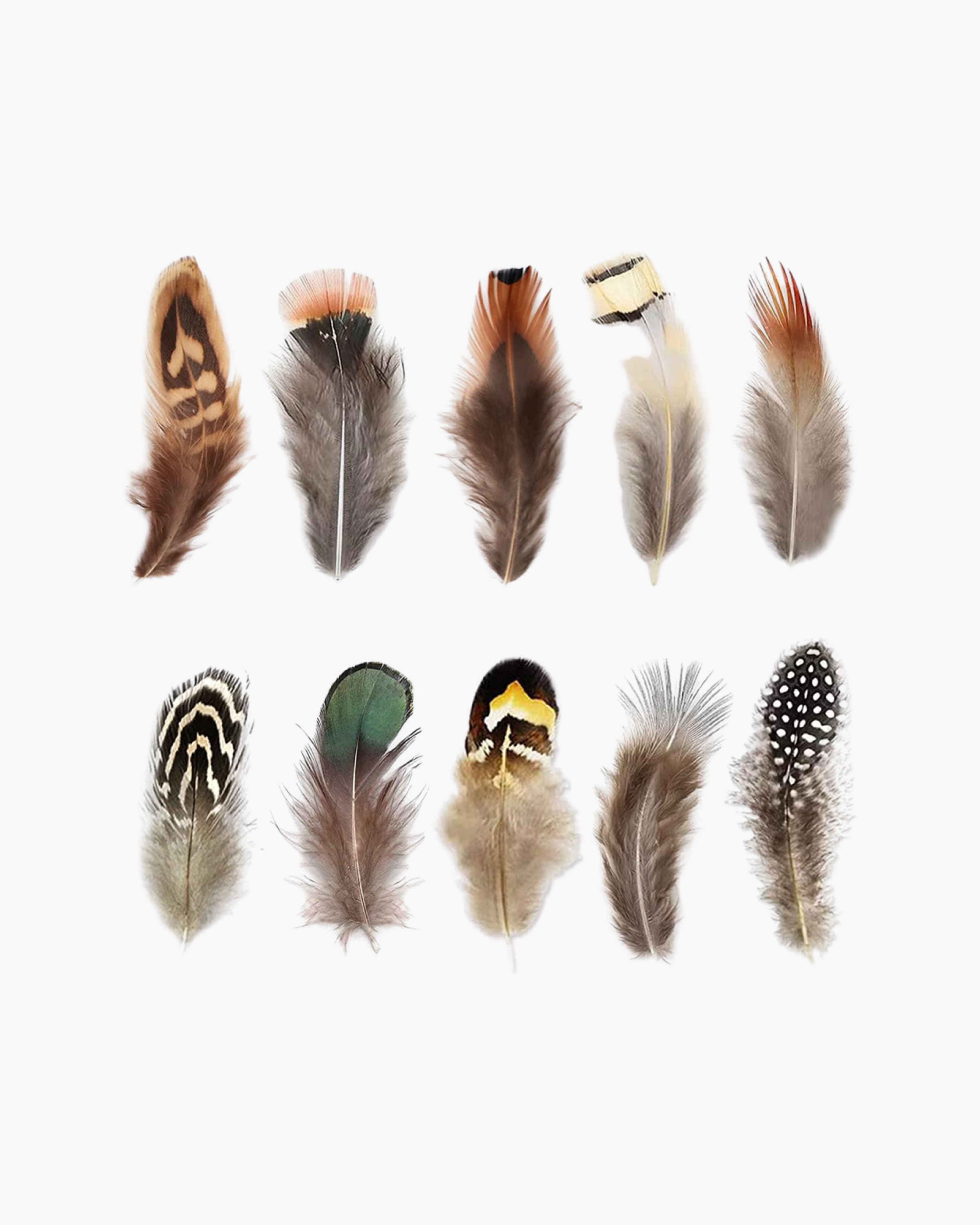 Small Feather Hat Accessory