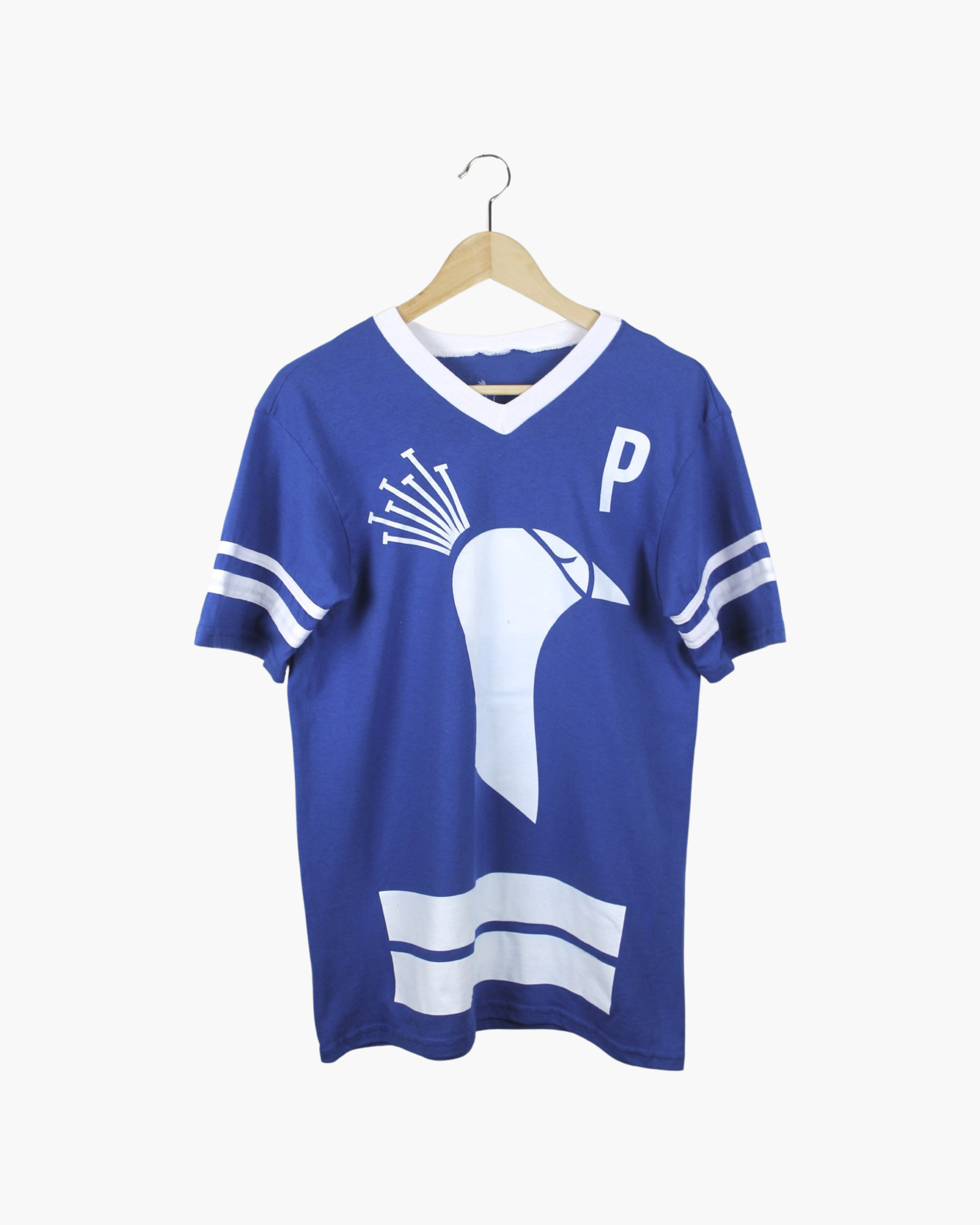 Peacock Jersey