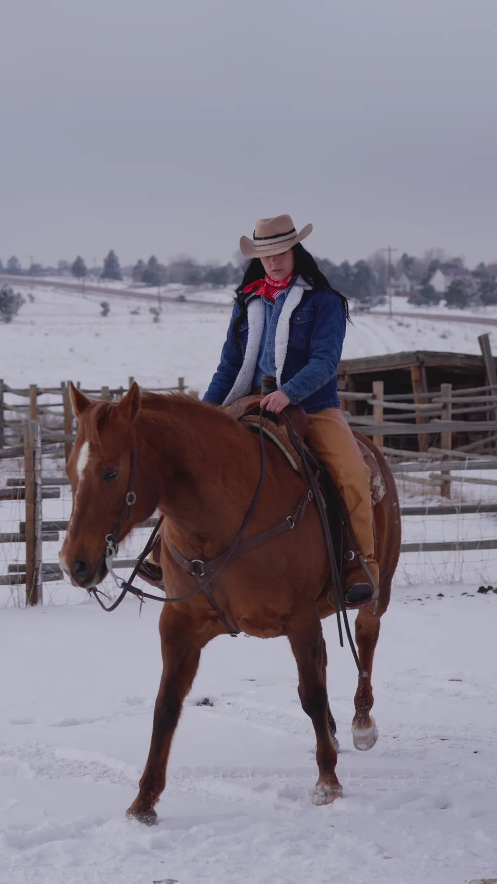 Jesse Teardrop Cowboy Hat